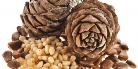 Kako oguliti pinjole kod kuće